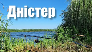 видео: Ловля Сазана, карася, ляща на Дністрі. Рибалка з Дмитром на річці. САЗАН на ГОРОХ картинка: Ловля Сазана, карася, ляща на Дністрі. Рибалка з Дмитром на річці. САЗАН на ГОРОХ