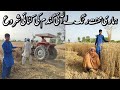 Hamari mehnat rang le ayi gandum ki katai shuru  village women life  lunch for wheat crop labour