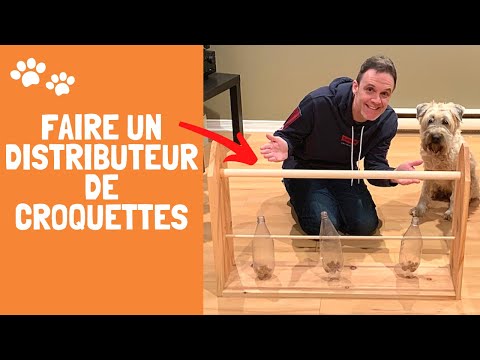 Vidéo: Idées de jouets à obstacles pour chiens dans la cour arrière