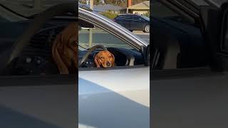 When little moments make your day �...