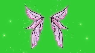 Pink fairy wings green screen free video, no copyright