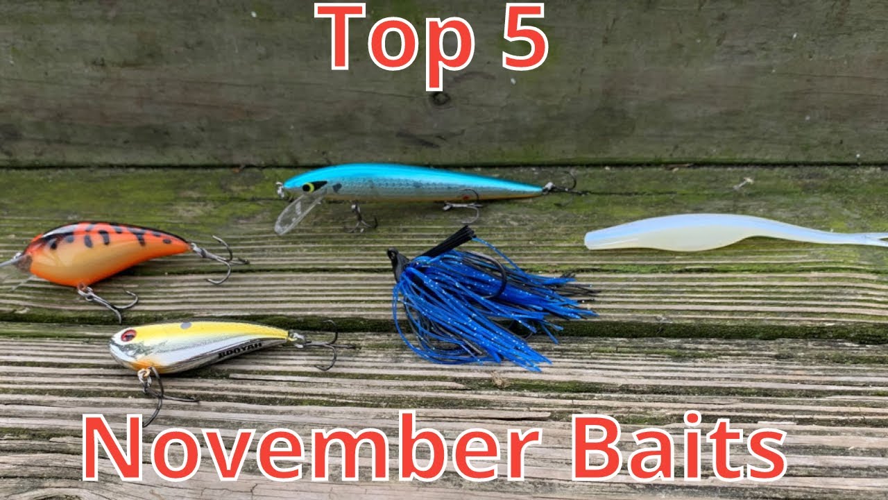 Top 5 Baits For November Bass Fishing 