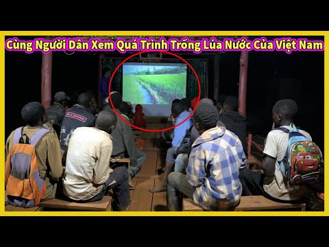 Video: Lúa dại mọc ở đâu?