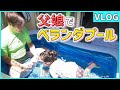 【最後の夏の思い出】チビランド大喜び！プール設営にパパママ奮闘！【vlog】