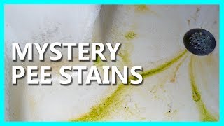 MYSTERY PEE STAINS -- PAIGE PLAYS DARK SOULS (PEACHSALIVA AND THE RUBY WEAPON HOUR)