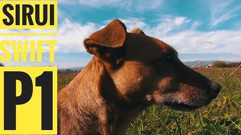 SIRUI SWIFT P1 - BEST COMPACT CAMERA GIMBAL? RUNNING - STABILIZATION VIDEO TEST