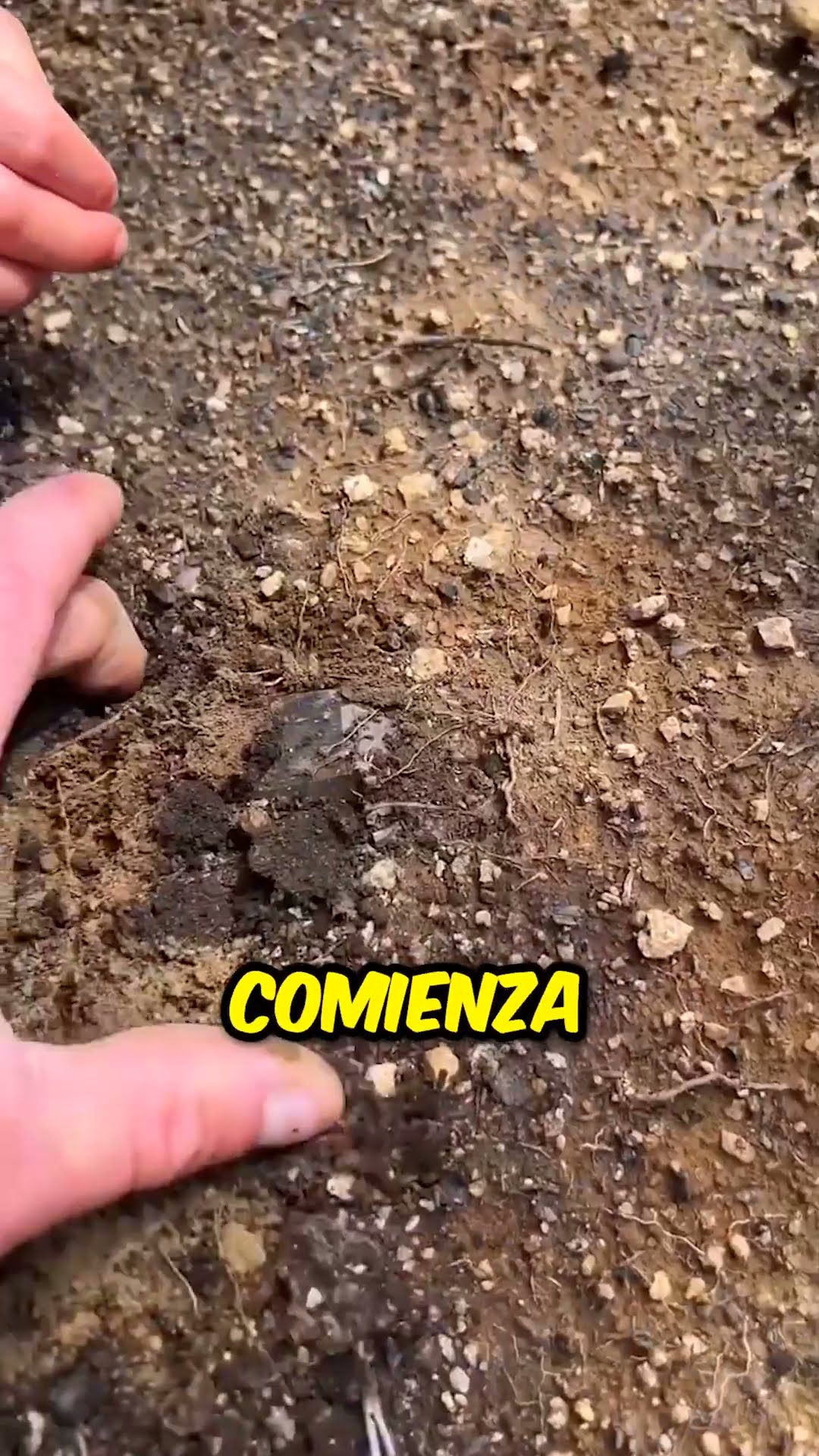 ¡ESTA CHICA ENCONTRÓ UN CRISTAL VALIOSO EN EL SUELO! ?