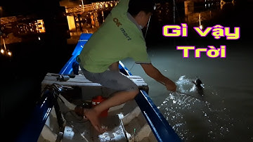 Giăng câu đường/ sông long kiển lên toàn hàng khủng//dân dã miền quê official