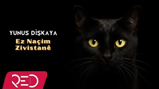Yunus Dişkaya - Ez Naçim Zivistanê Resimi