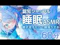 【ASMR】どうしても眠れない夜に🌙聞き流すだけで眠れる認知シャッフル睡眠法┊波の音┊囁き┊途中広告なし┊高音質┊3dio #星月リリー #vtuber