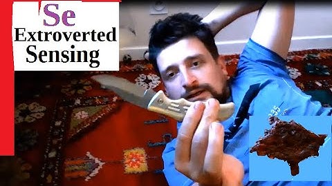 SE - Extroverted Sensing (real life exemples) #Se #ExtrovertedSensing