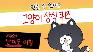 맞출 수 있어? 고양이 상식 퀴즈 5가지