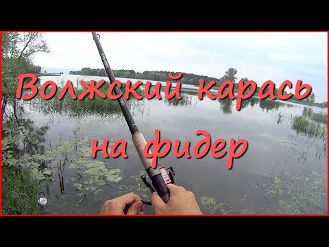 Рыбалка на Волге в первой половине лета
