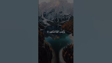قرآن كريم بصوت ياسر الدوسري ||حالات قرآن كريم || Quran status