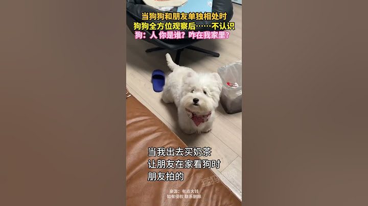当狗狗和朋友单独相处时，狗狗全方位观察后……不认识，狗：人 你是谁？咋在我家里？