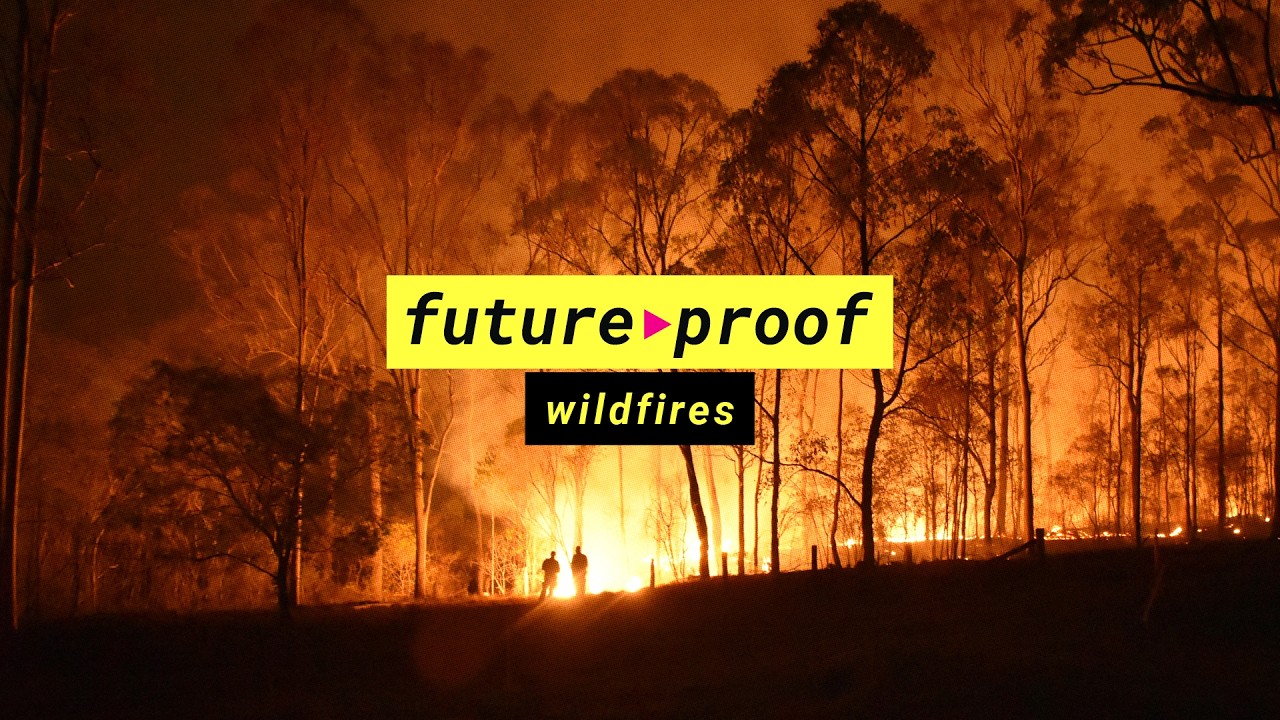 LSE Video Shows Why Traditional Land Management is Our Best Defense Against Wildfires