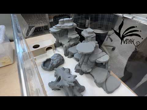 EP. 6 Introduction to Lizard Studies for Architecture Students (with Aki Gecko)