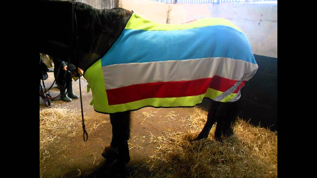 Home Made Full Sized Horse Rug You Home Made Full Sized Horse Rug