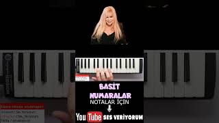 BASİT NUMARALAR Melodika Notaları