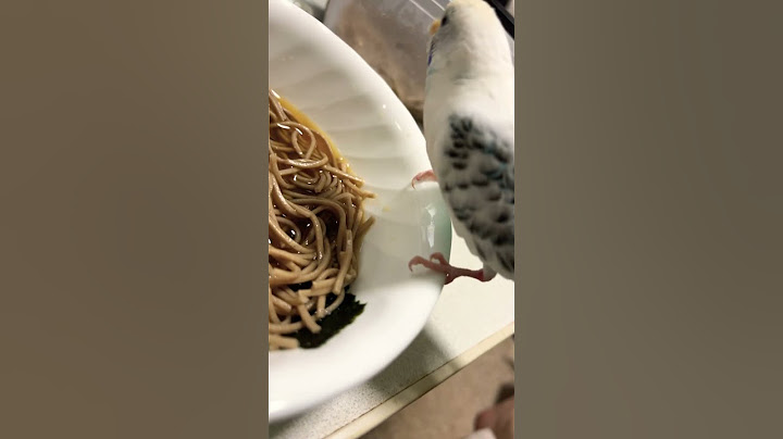 今日も今日とて、とて、お昼はザルそばに限りますな〜と思いつつ、そばをぱくついている、圧倒的なITインコ。