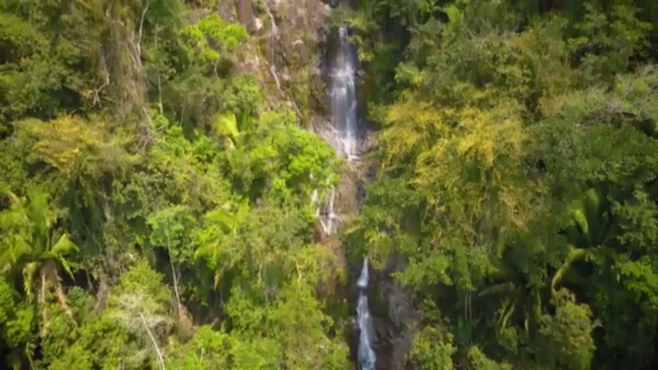 Mayflower Jungle & Waterfall Hike with Hamanasi Resort Belize