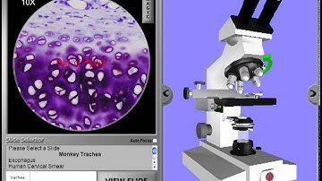 V Scope Video Instructions mov