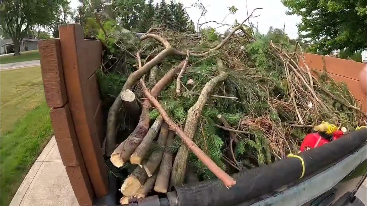 1 tree trimming job 1 shrub trimming job YouTube