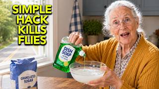 Stop Buying Fly Strips: This Simple Hack Kills Them All!