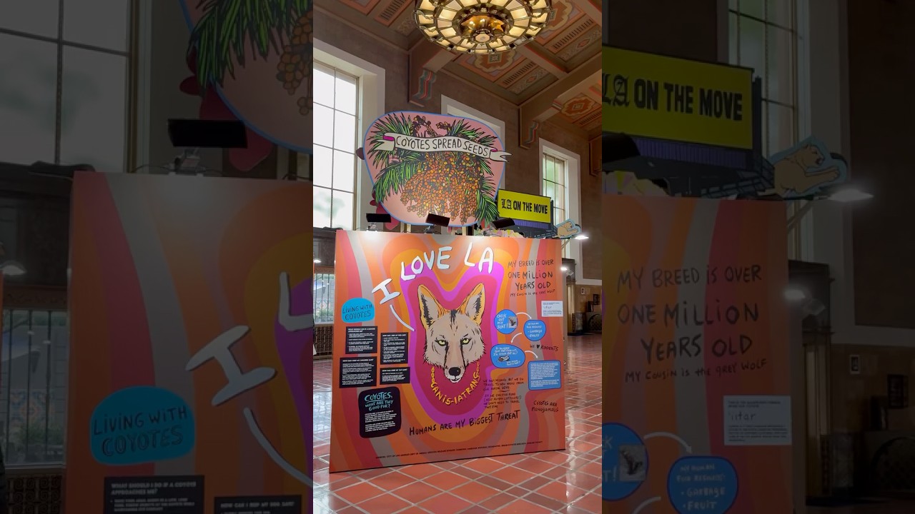 From Hawaii to LA: I 💗 LA  at LA Union Station