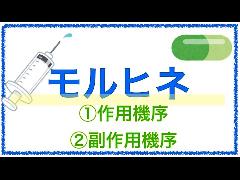 教科書をわかりやすく！「モルヒネの作用・副作用機序」〜呼吸抑制や嘔吐はなぜ起こる？〜