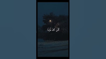 من الآية ١٧ إلى الآية ١٩ من سورة السجدة آيات من #القرآن_الكريم