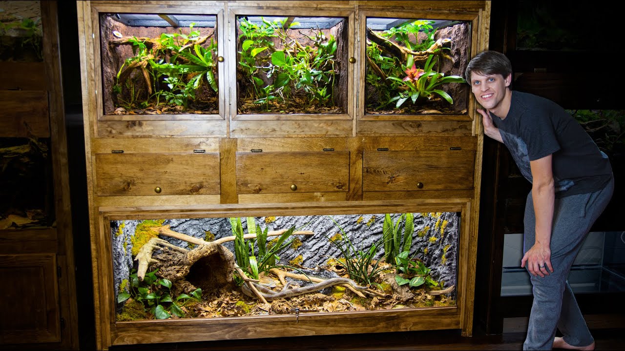 ⁣Easy DIY Plywood Reptile Enclosures