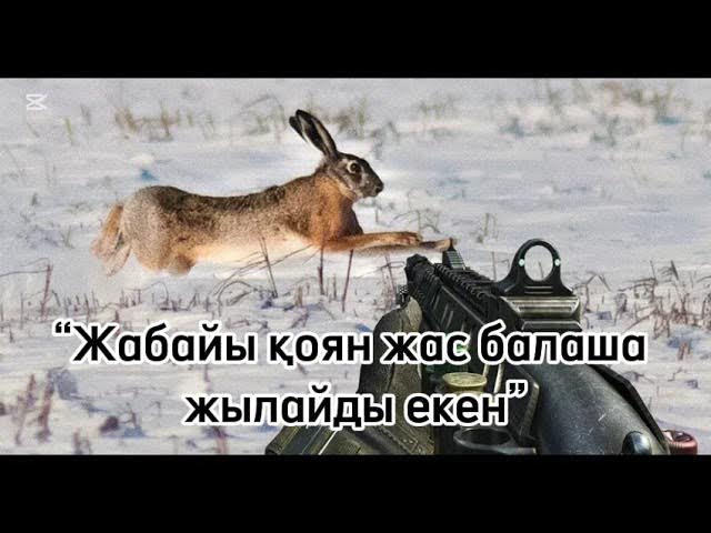 Үлкен қынаптардың жыныстық қатынасы