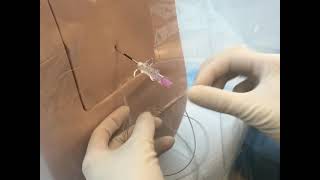 Neuraxial Task Trainer Demonstration - Epidural Anesthesia