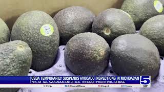USDA avocado inspection suspension could impact shipments at Pharr bridge