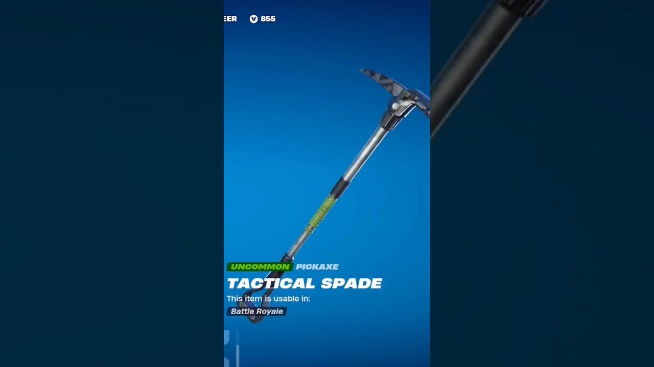 My Best Fortnite Skin Combo from January 2023! 