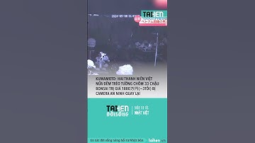 Người Việt trộm 33 chậu bonsai lên phường trước tết âm lịch tại Nhật #taihennet #taihendoisong