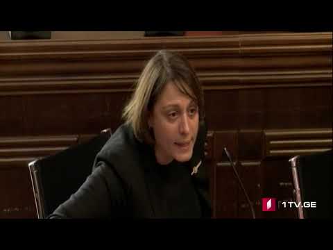 პარლამენტში სოფო კილაძე და ელენე ხოშტარია ერთმანეთს დაუპირისპირდნენ