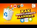 Как восстановить удаленные файлы на Windows, Android и iOS