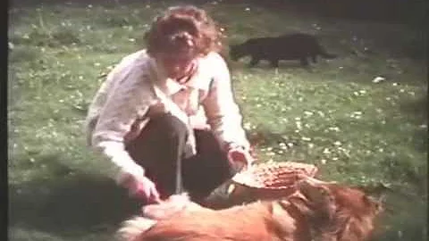 'Squiffiness' at Whittall House-August 1979