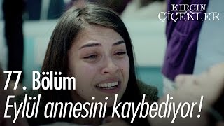 Eylül annesini kaybediyor! - Kırgın Çiçekler 77. Bölüm - atv