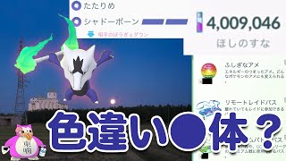 終盤から参戦でアローラガラガラ レイドデイ色違い●体？＆ほしのすな400万？【ポケモンGO】