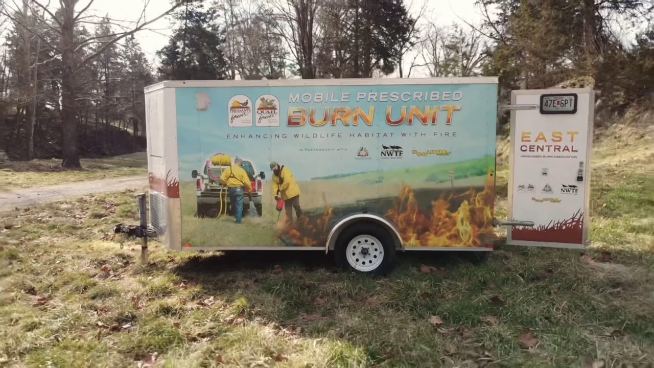 Native prairie prescribed burn
