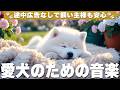 犬が落ち着く音楽 (12時間広告なし) 🐶 犬が寝る音楽 | 癒しピアノBGM / 夜泣き防止 / vol.990