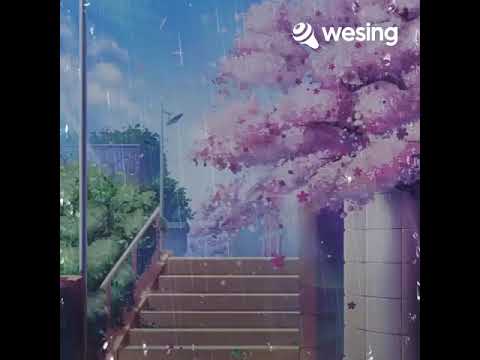 红叶斜落我心寂寞时(合唱版)-WYS 2