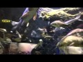 和歌山県立自然博物館の魚。 の動画、YouTube動画。
