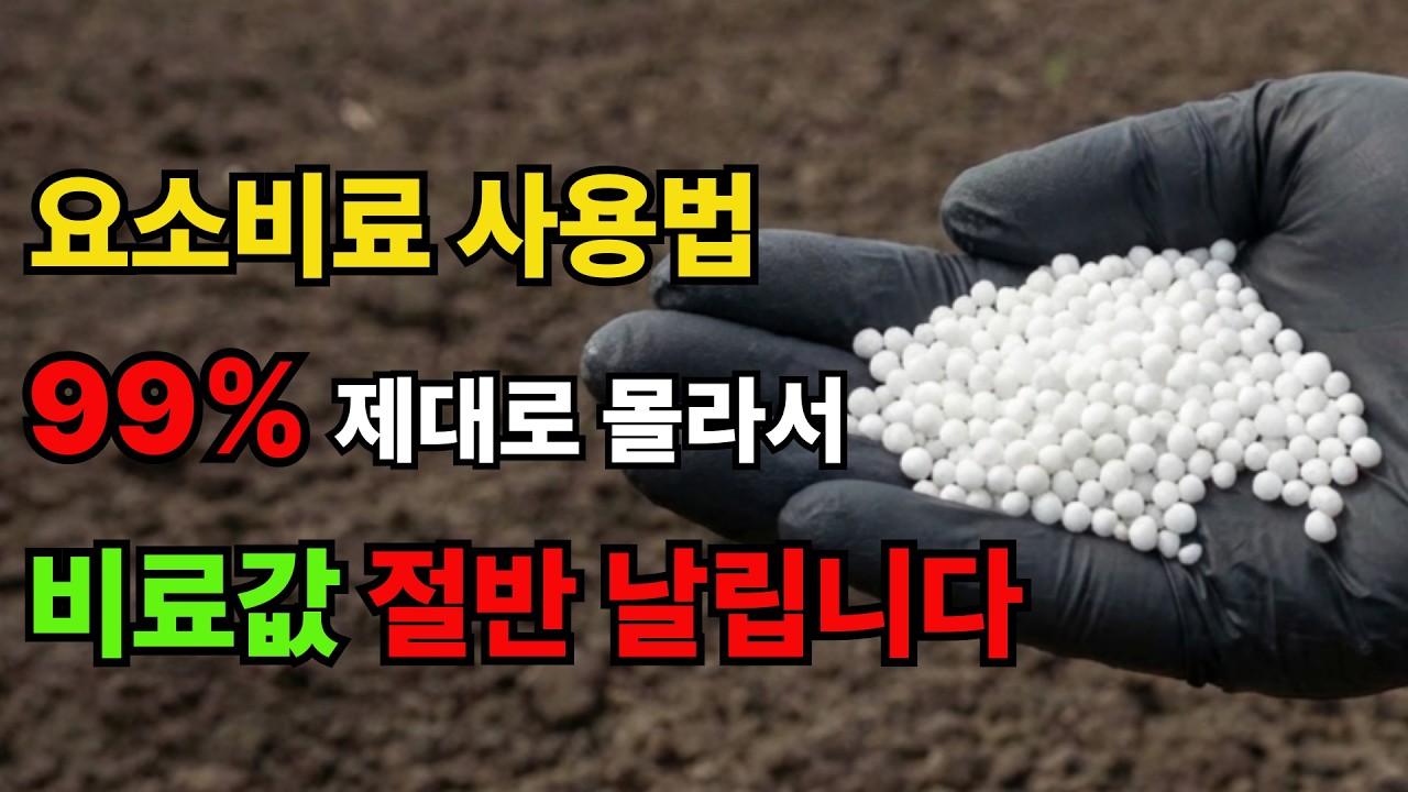 요소비료, 이렇게 주면 99% 농사 망칩니다 (비료값 절반이 공중으로 증발하는 이유)