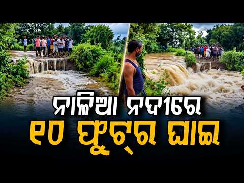 ନାଳିଆ ନଦୀରେ ୧୦ ଫୁଟର ଘାଇ | Nalia River Embankment Breaches in Bhadrak: Villages Cut Off | Argus News