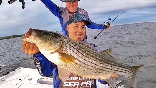 How to catch Stripers with a jigging spoon. Striper fishing tips for beginners and Old Salts!