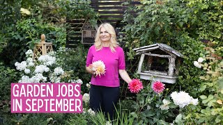 My garden in September. Garden jobs for September- lawn, roses, perennials.